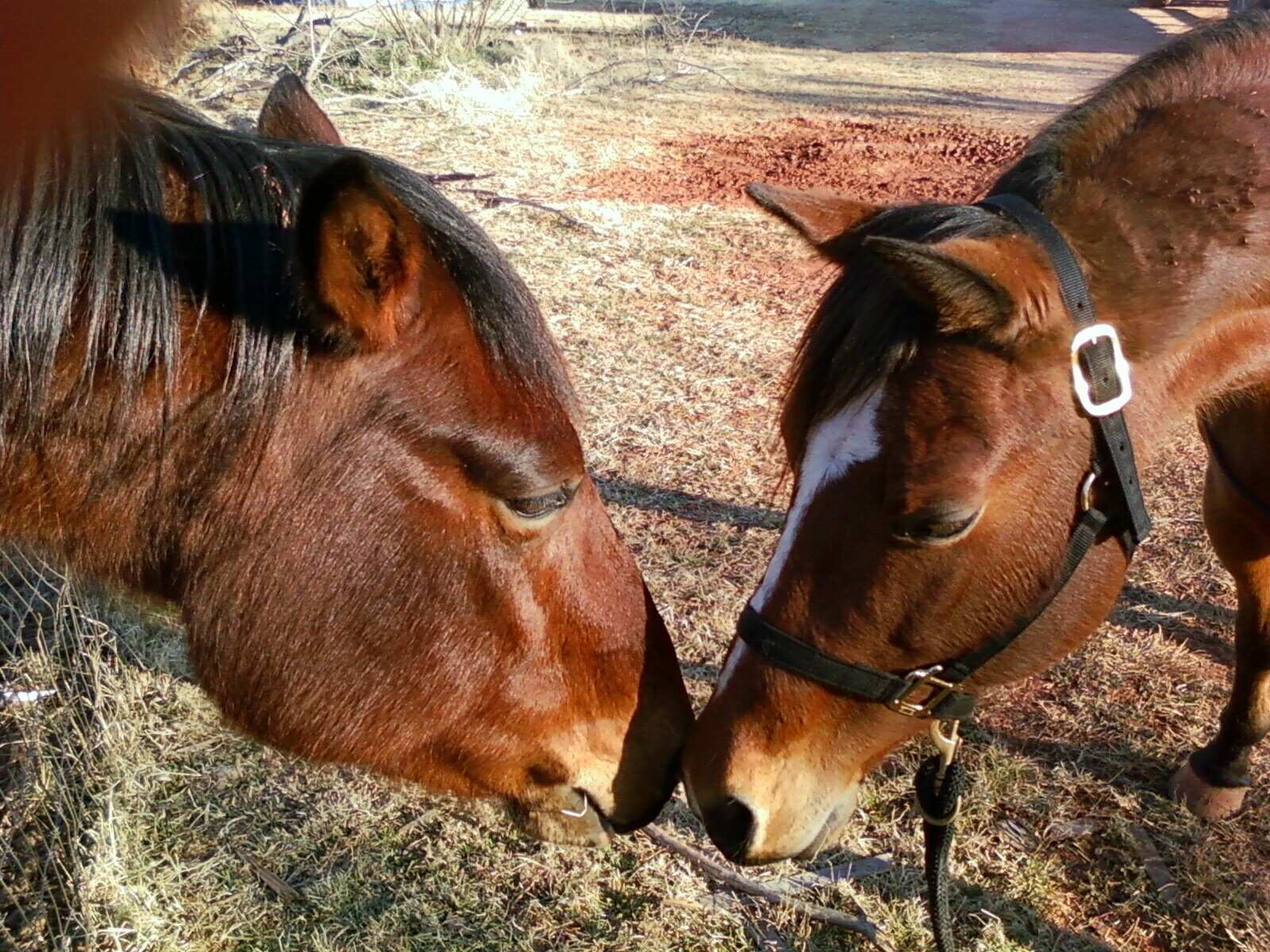 First Kiss