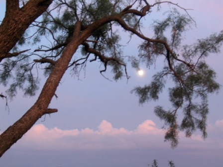 Sunset Moon in Abilene TX
